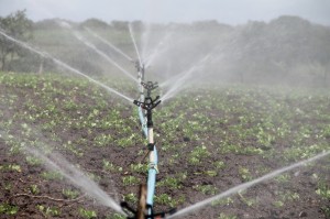 Impianti di irrigazione provincia di Bologna      